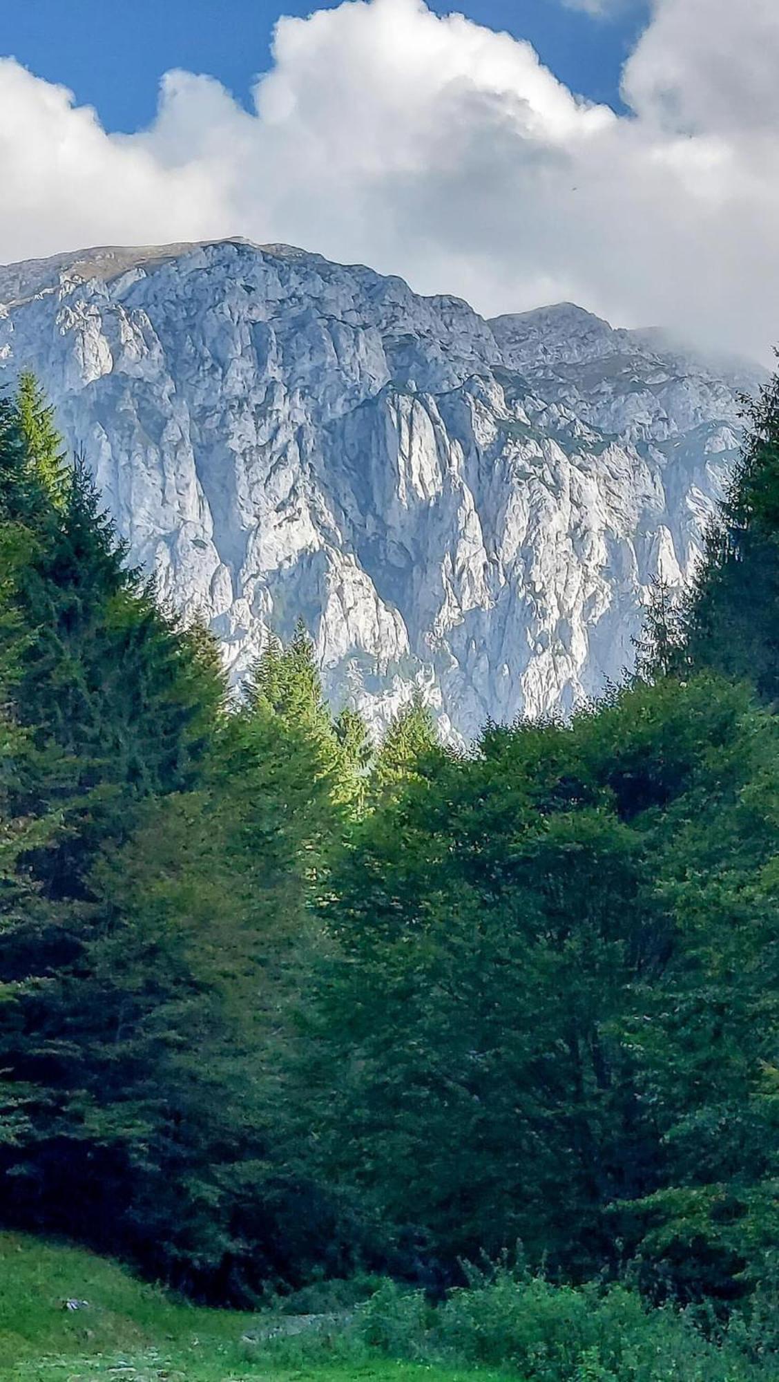 Cazare Zorilor Zărneşti Kamer foto