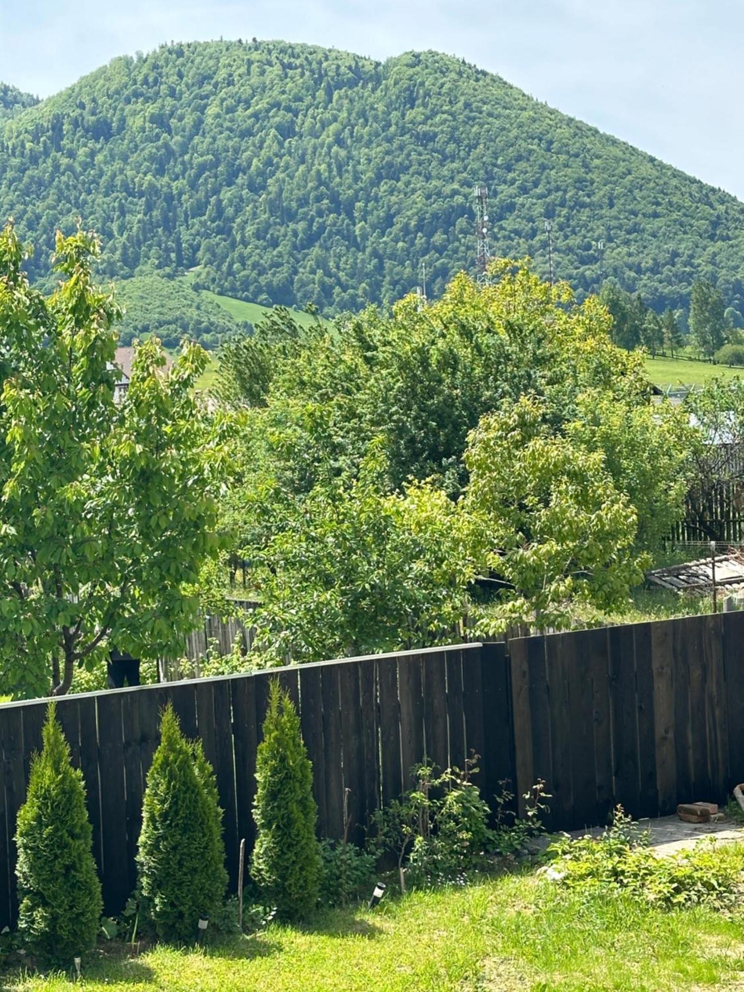 Cazare Zorilor Zărneşti Kamer foto